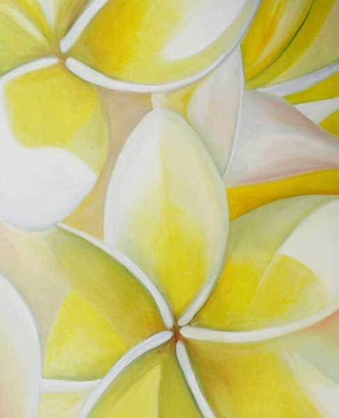Frangipani by Ahmed Amir 