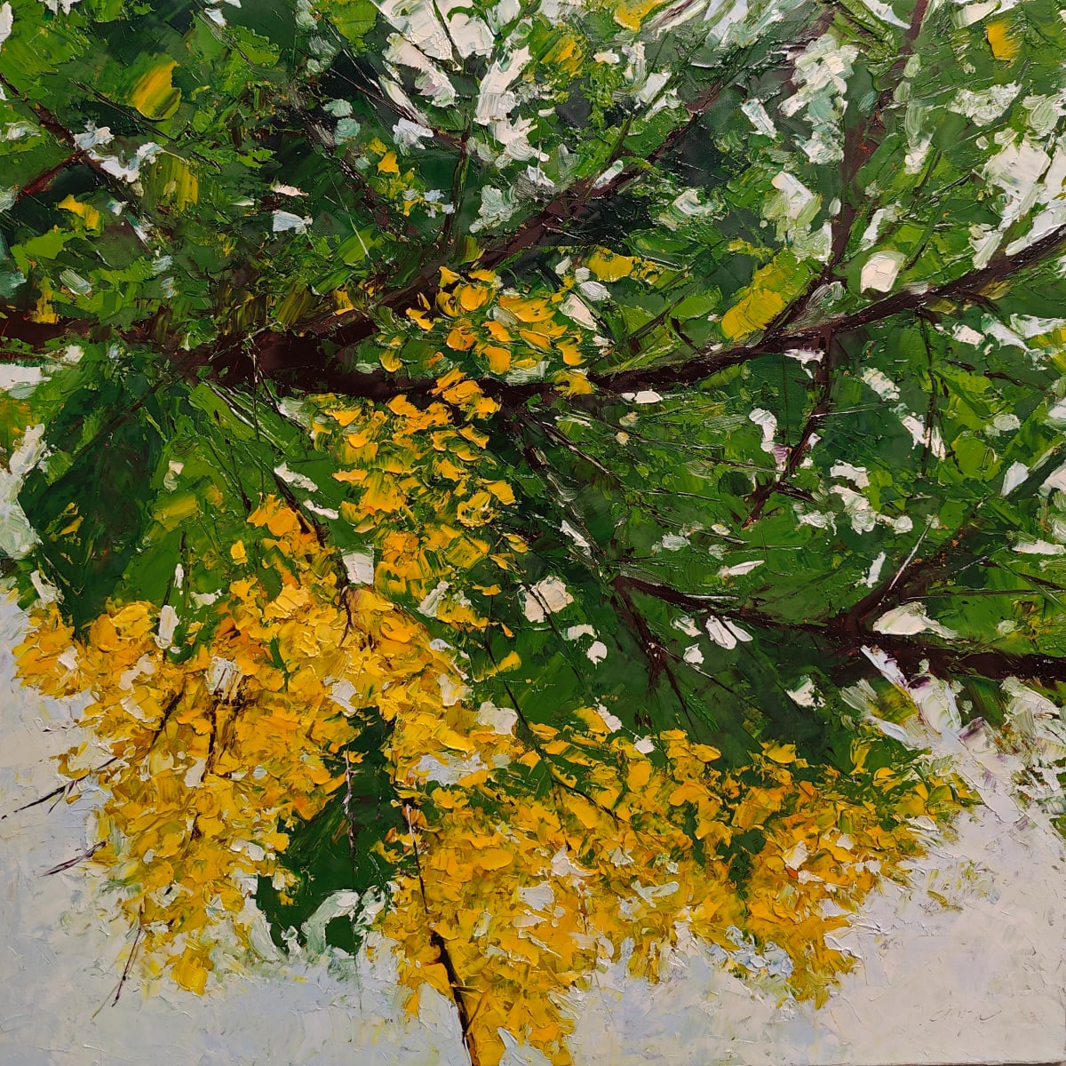 Golden Shower 01 by Ahmed Amir 