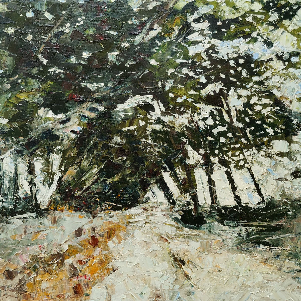 Trail 
