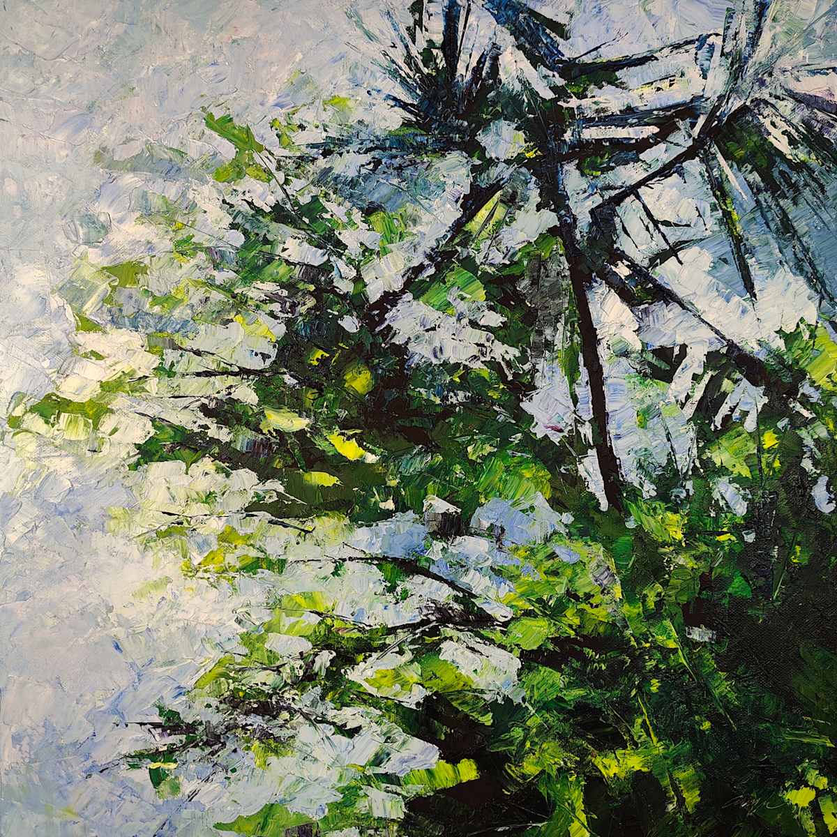 trees 05 by Ahmed Amir, Image 1.
