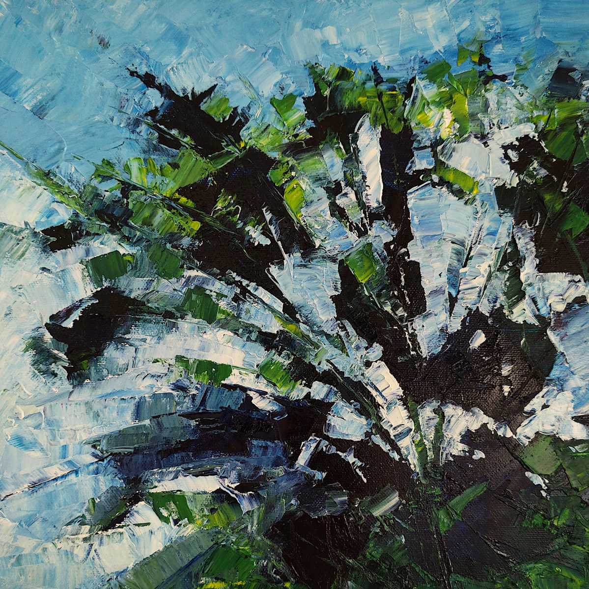 trees 06 by Ahmed Amir, Image 1.