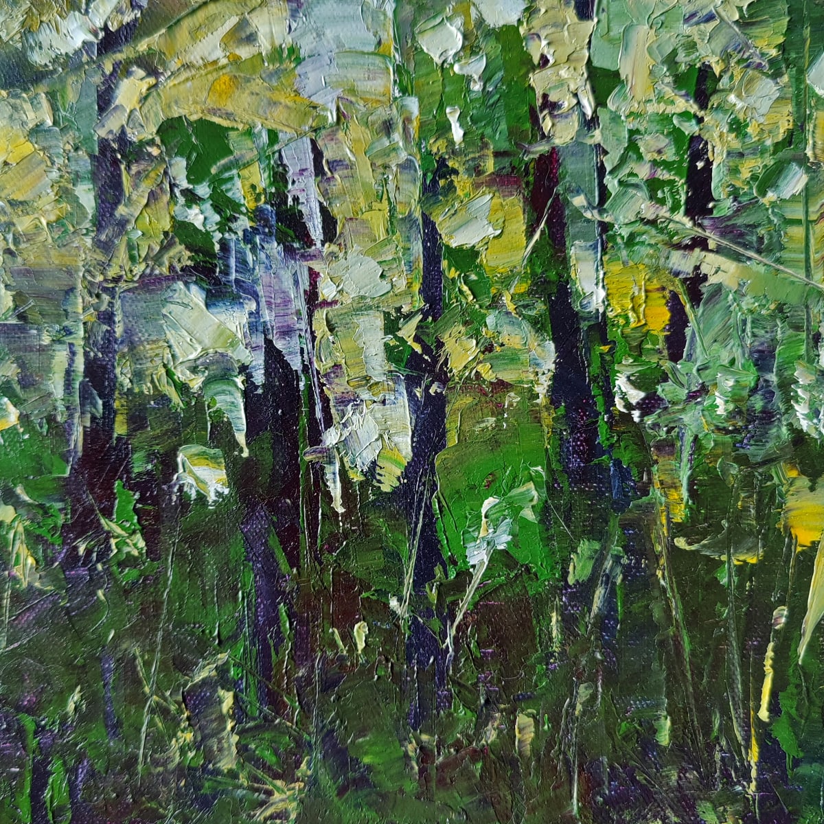 Trees 02, Image 1.