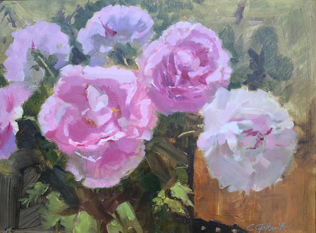 Big Bushy Peonies  Image: Big and Beautiful my favorite flowers.