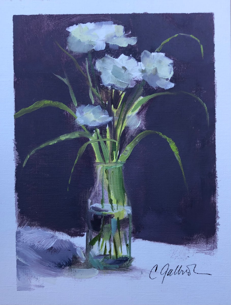 Carnations by Cary Galbraith 