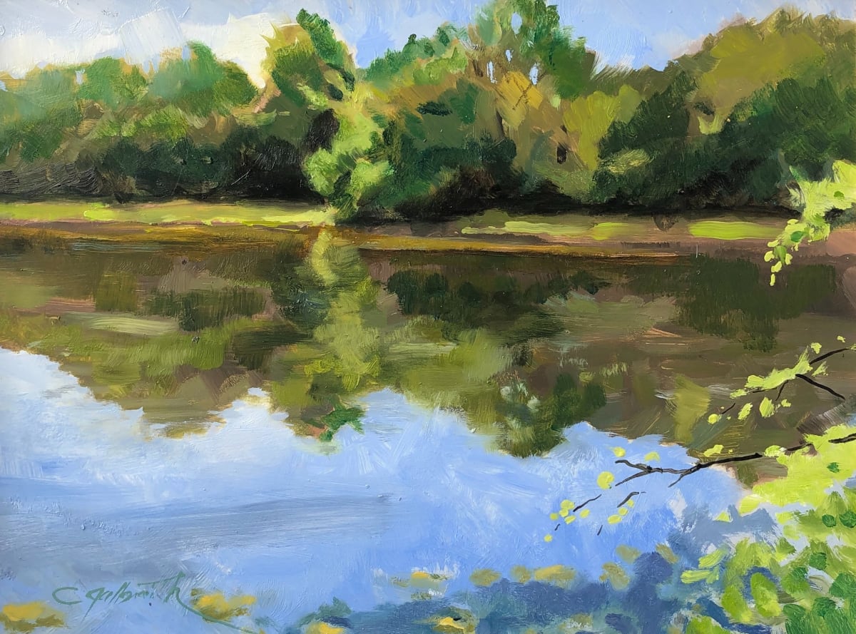 Still Pond  Image: It’s a reflection. The pond was so still and the sound of bull frogs kept me happy while I painted.