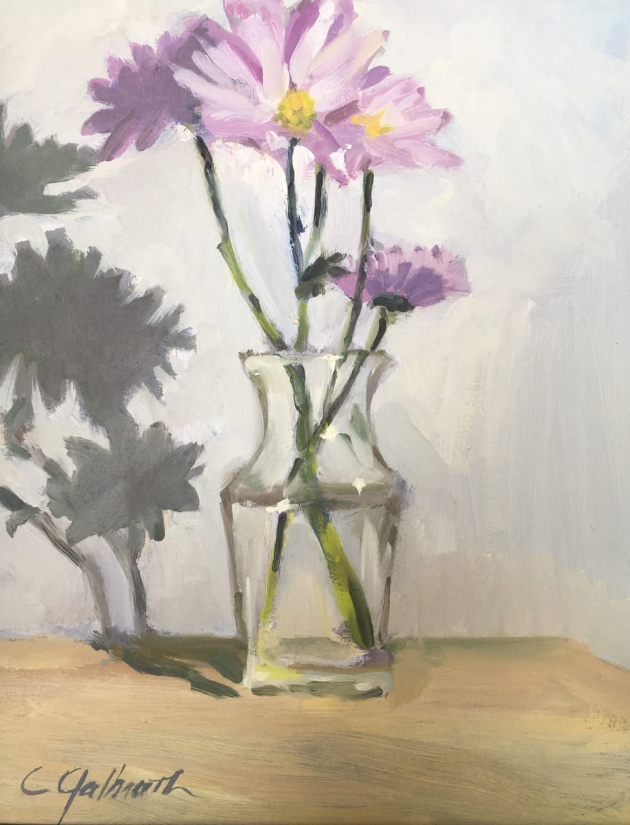 Mums & Shadows by Cary Galbraith 
