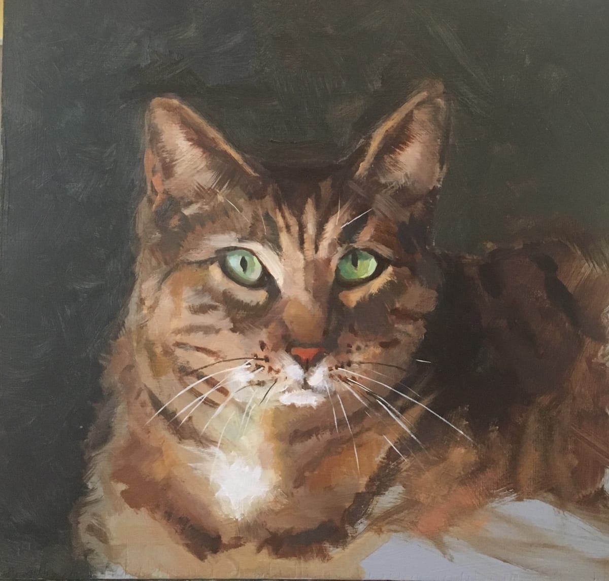 Nelson the Tabby by Cary Galbraith  Image: He has that look of knowing. All cats do, don't they?  But Nelson seems to know more. 