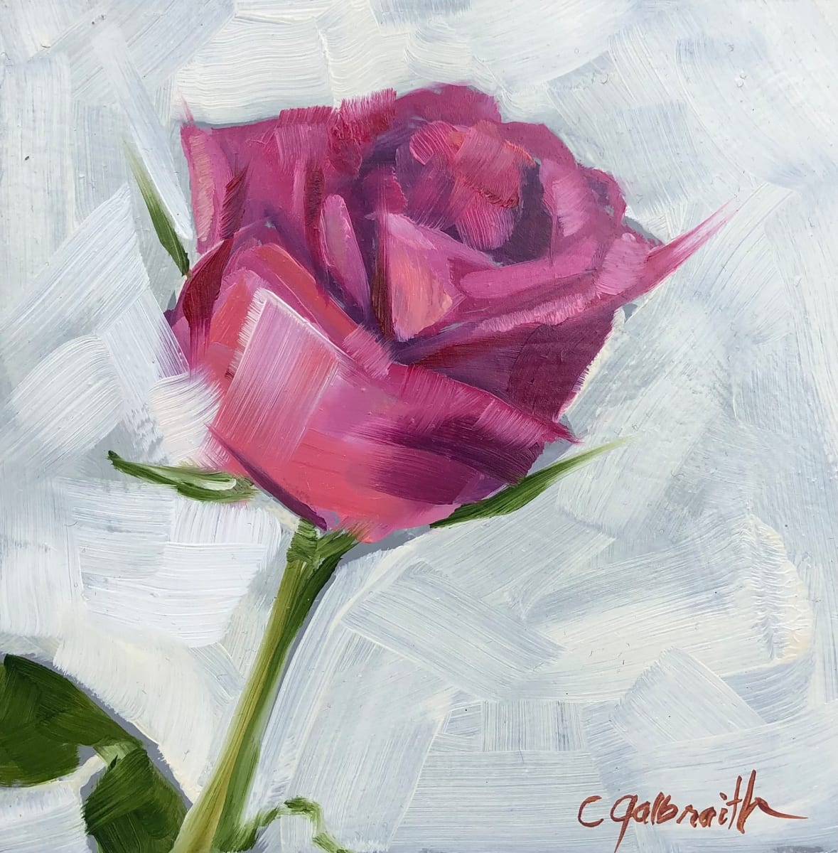 Pink Rose by Cary Galbraith 