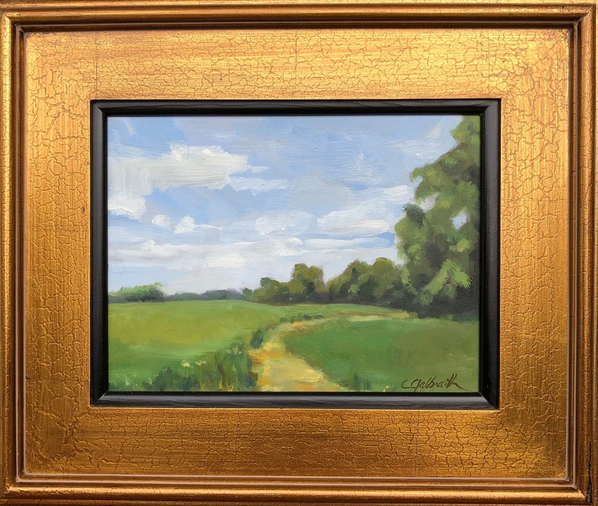 Summer Day II by Cary Galbraith 