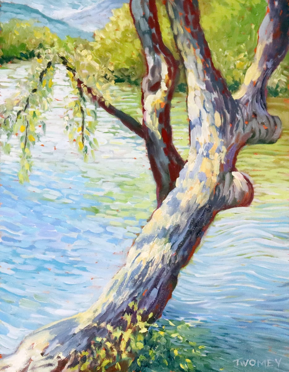 French Broad Lean by Catherine Twomey 