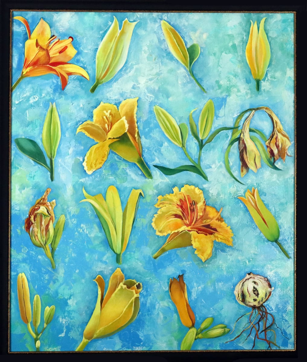 Lily Season by Catherine Twomey 