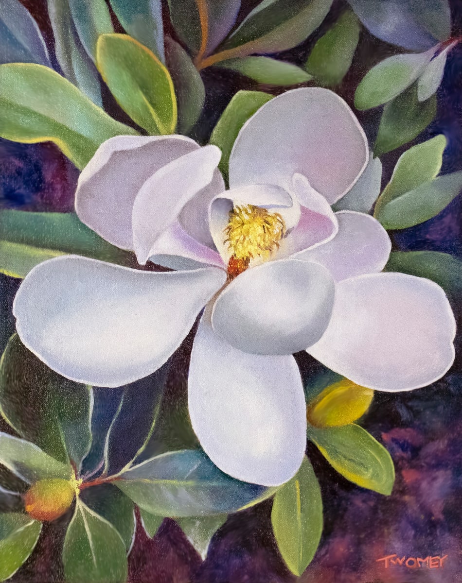 Magnolia Bobby's Tree by Catherine Twomey 