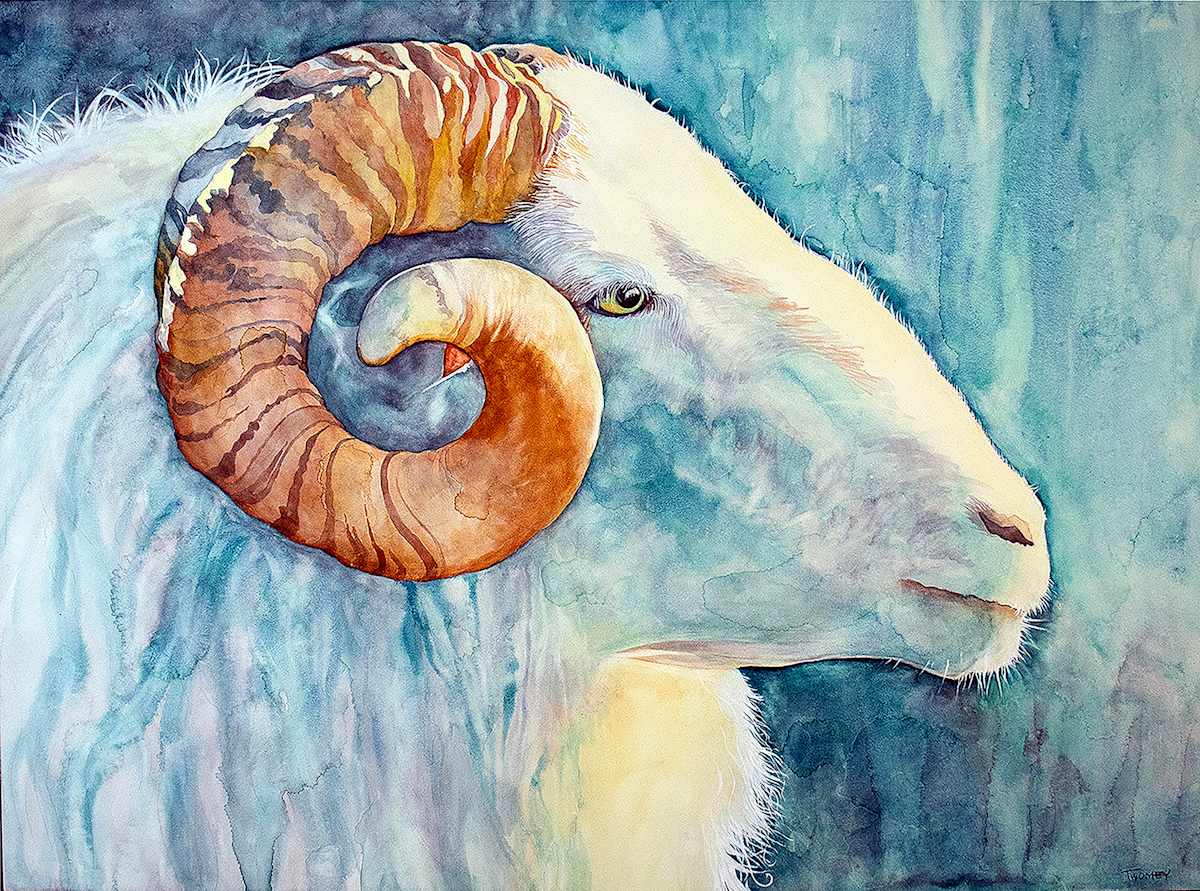 Resilient Ram by Catherine Twomey 