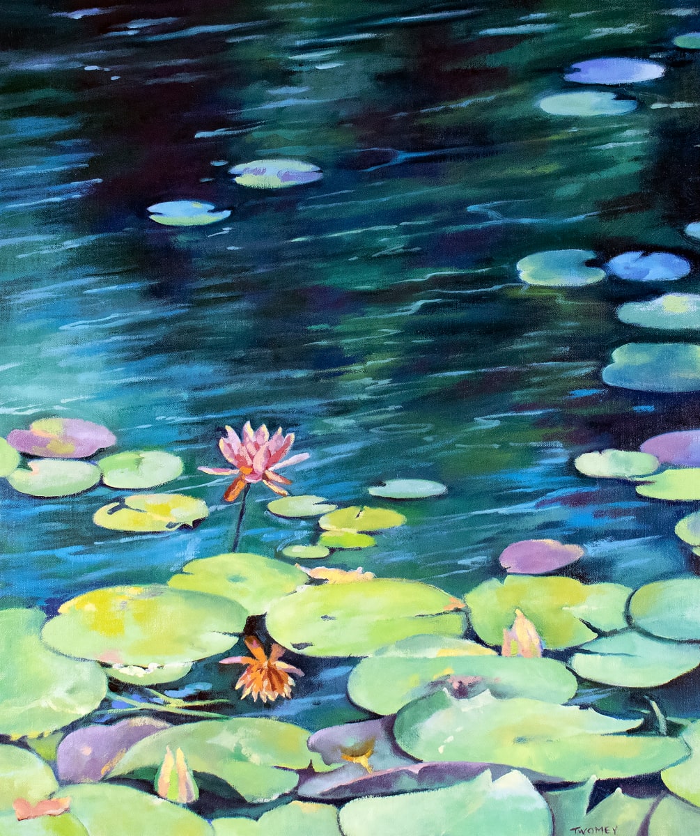 Bass Pond Water Lilies by Catherine Twomey 