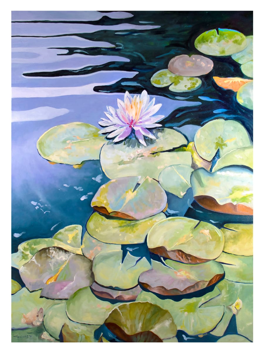 White Lily Bass Pond Biltmore by Catherine Twomey 