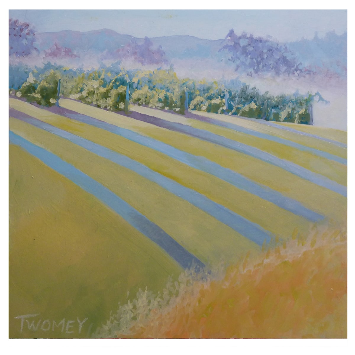 Buck Mountain Vineyards Sofened by Catherine Twomey 