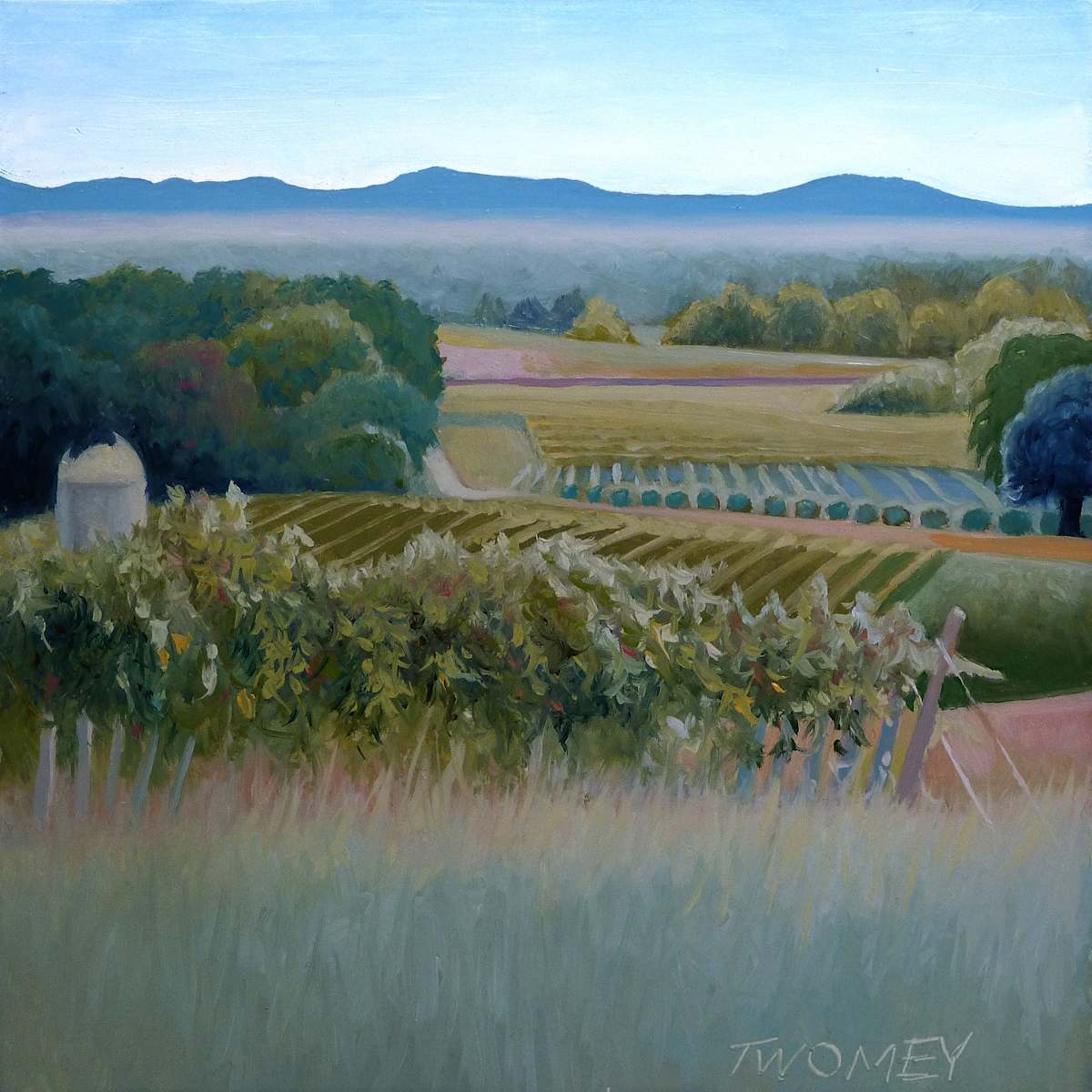 Grace Vineyard Portrait by Catherine Twomey 