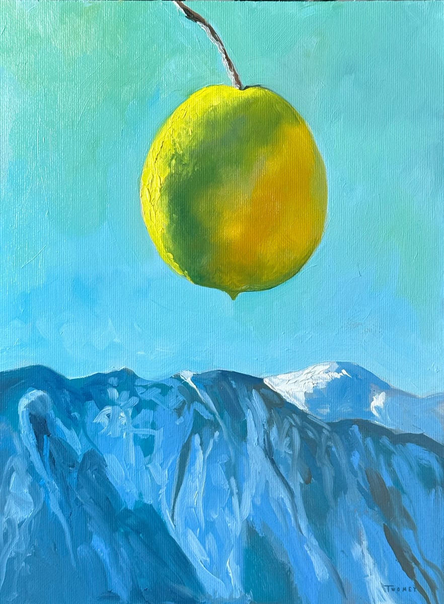 Lemon Levitation by Catherine Twomey 