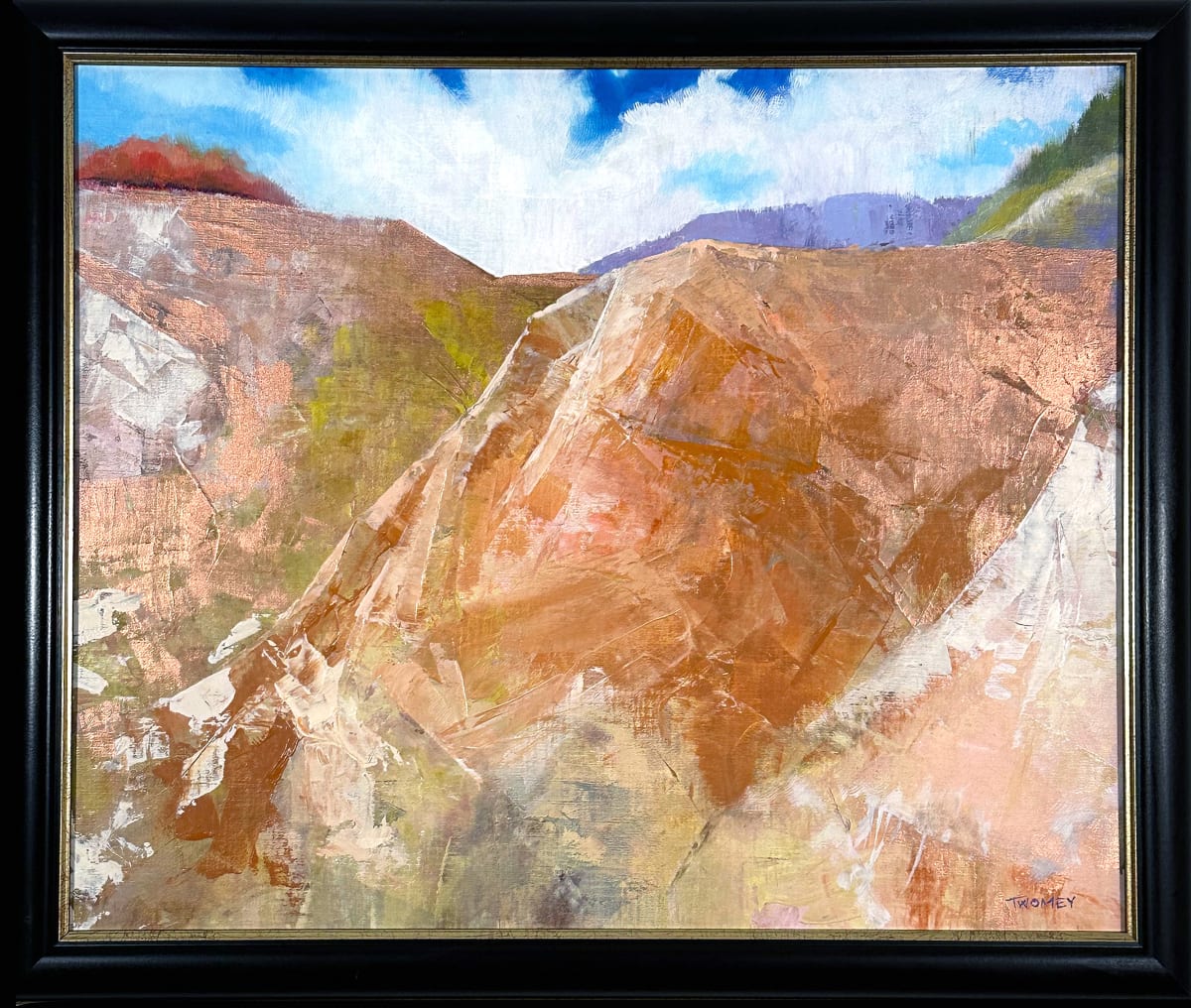 Maple Ridge, Craggy Gardens by Catherine Twomey 