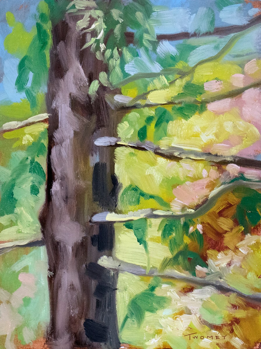 Birds Eye View Summer Study by Catherine Twomey 