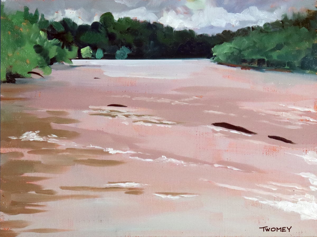 River Broad by Catherine Twomey 