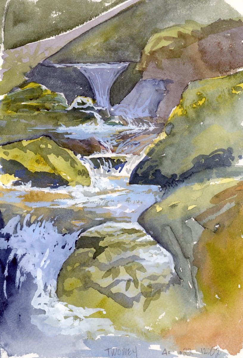 Upper Falls Trout Stream by Catherine Twomey 