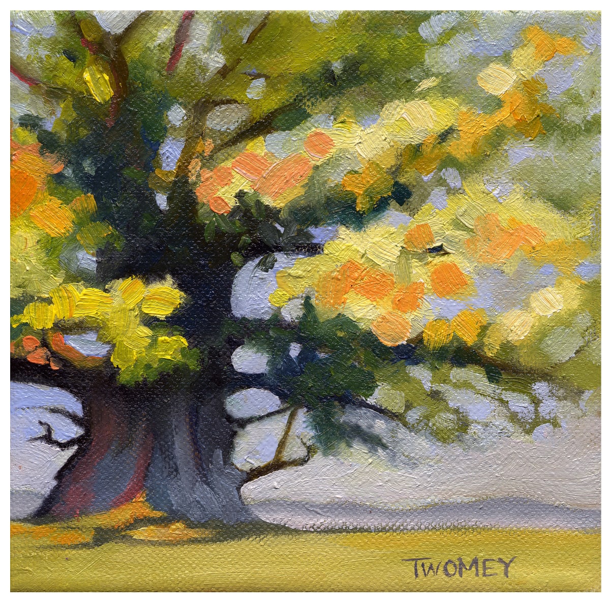 White Oak Autumn by Catherine Twomey 