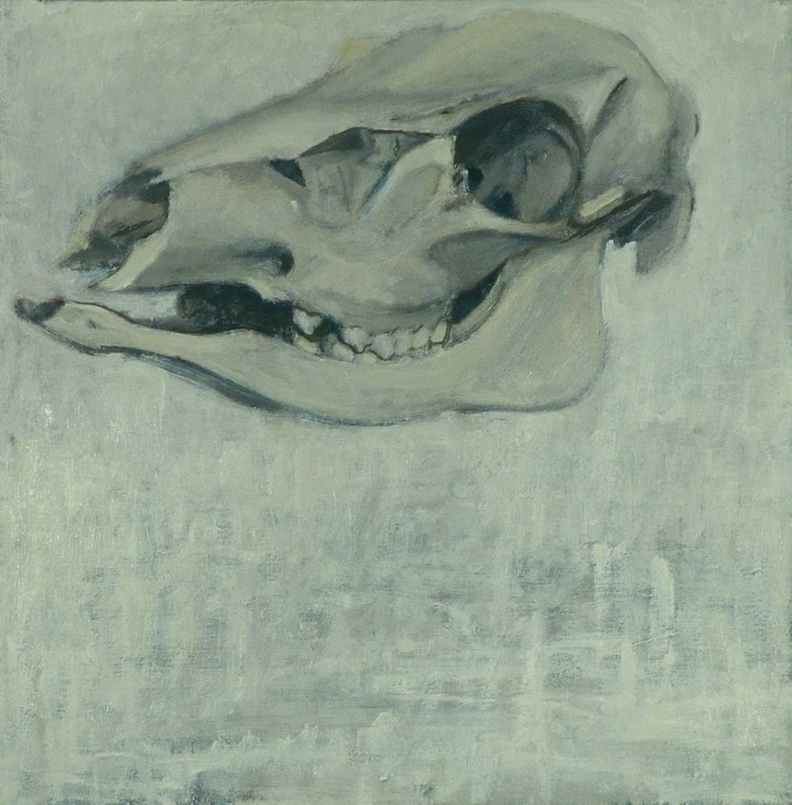DEER SKULL #24 by Kenneth Showell 