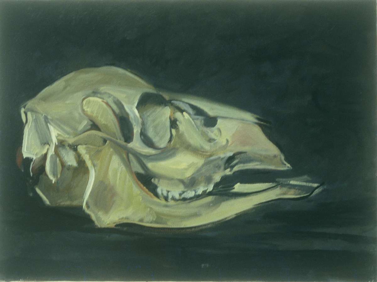 DEER SKULL #6 by Kenneth Showell 