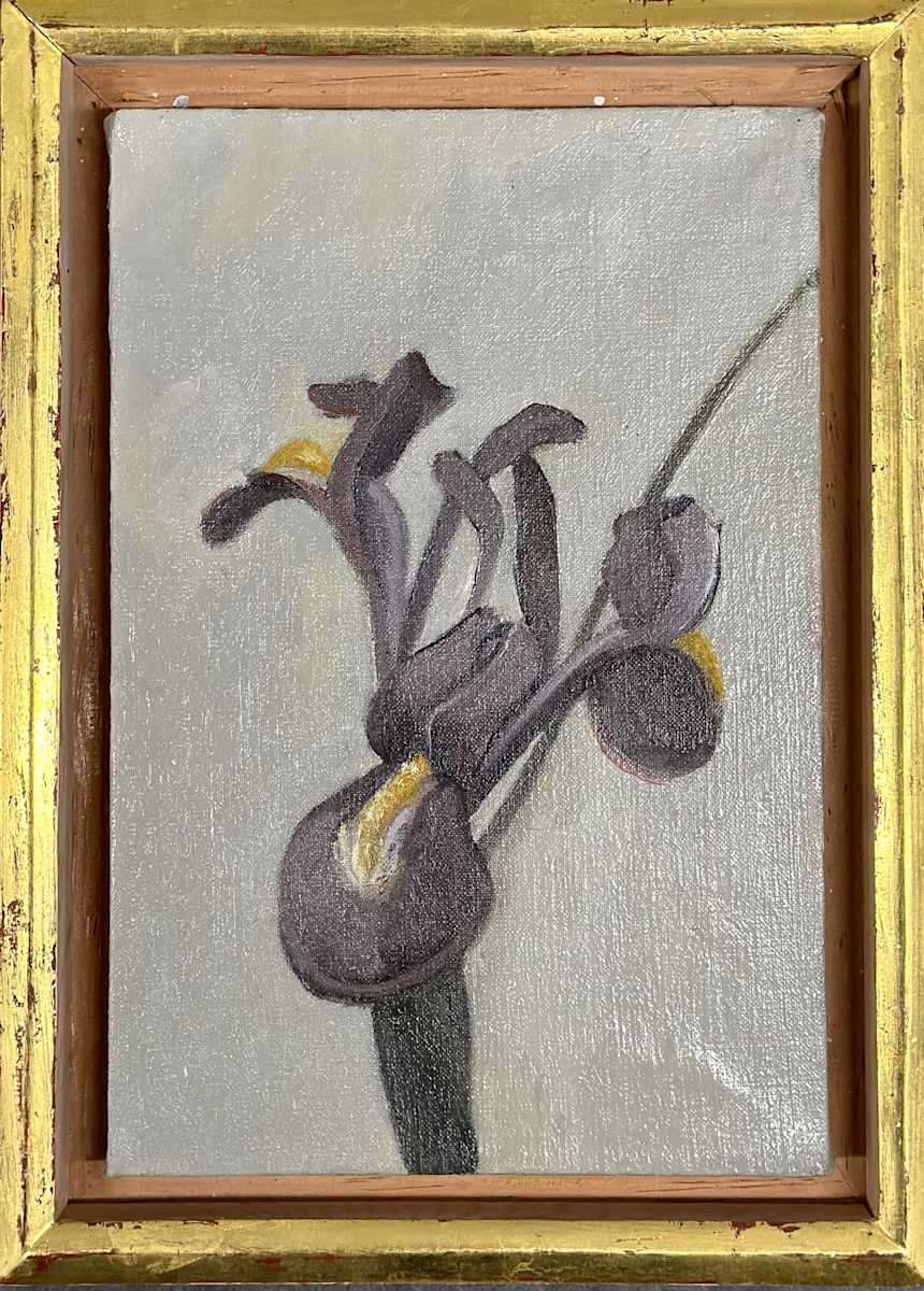 Iris #3 by Kenneth Showell 