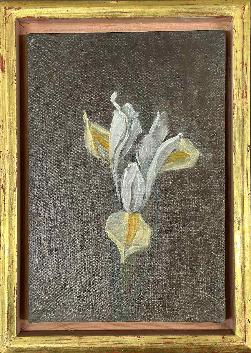 Iris #4 by Kenneth Showell 