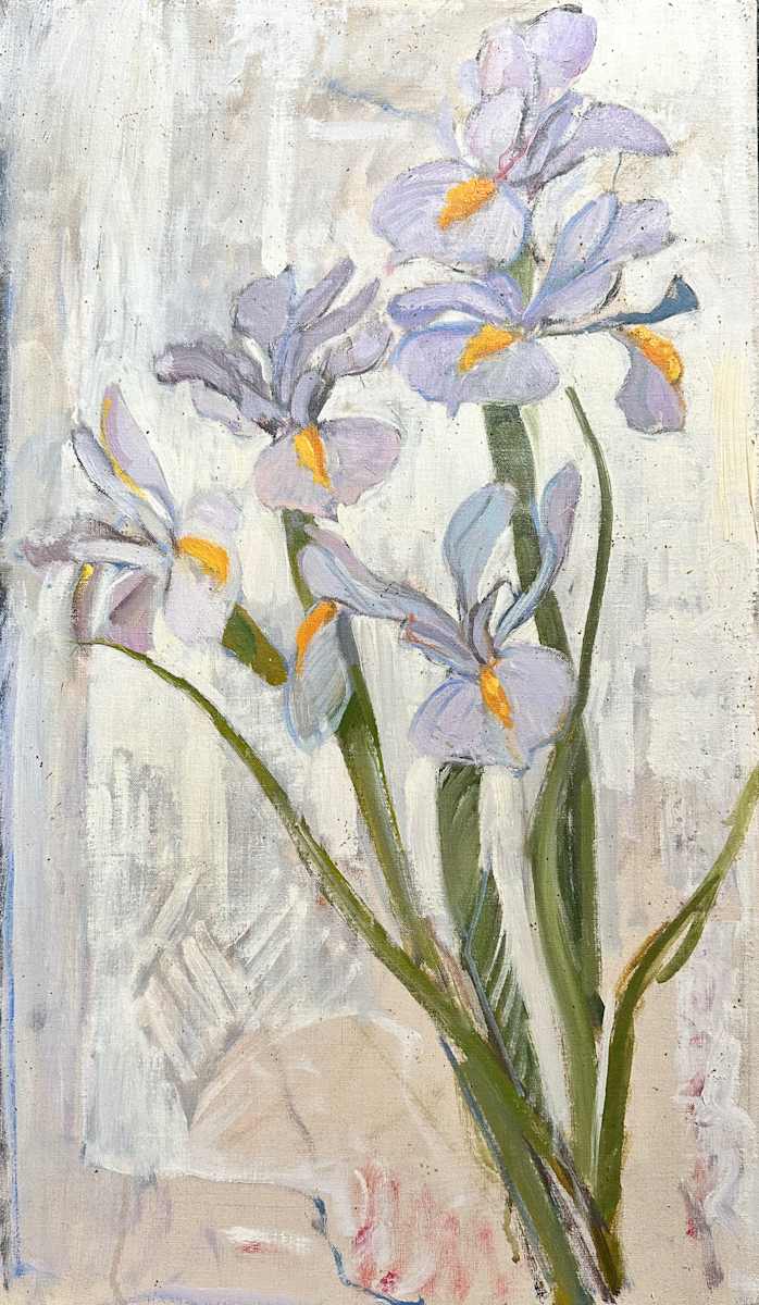 Irises by Kenneth Showell 
