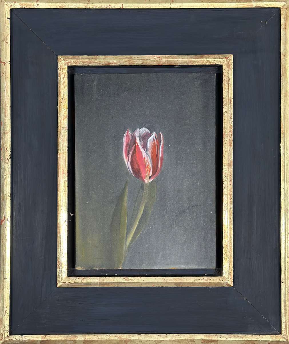 Red Stem Tulip by Kenneth Showell 