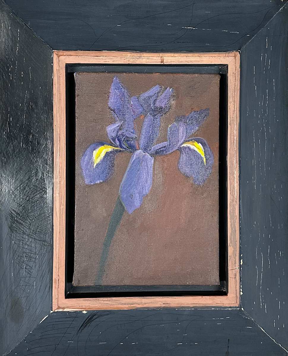 Iris Black Frame by Kenneth Showell 