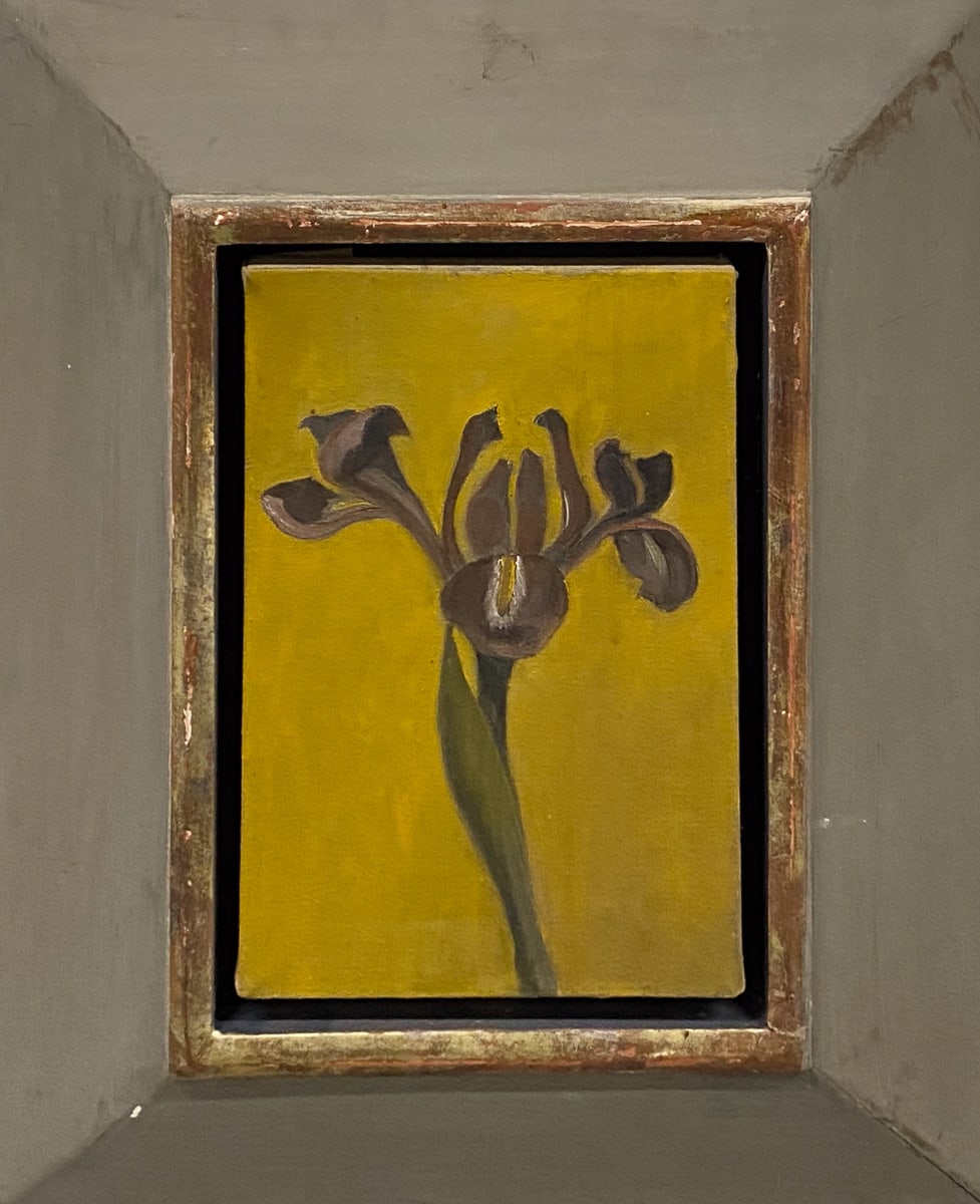 IRIS LAVENDER by Kenneth Showell 