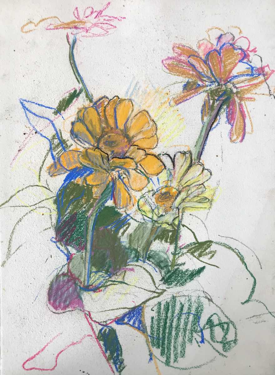 Gerber Daisies by Kenneth Showell 