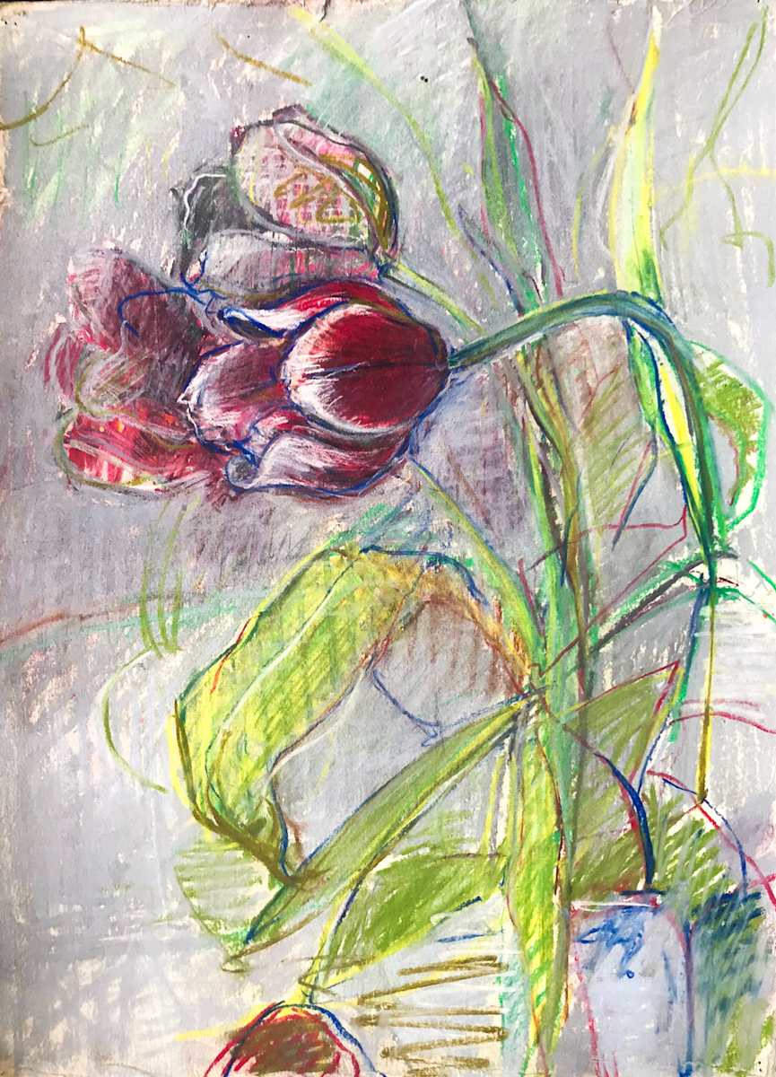 Tulips in a Vase by Kenneth Showell 