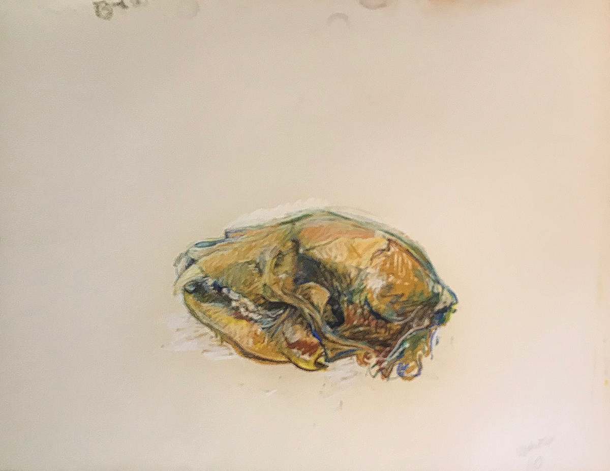 Pastel skull signed and dated 1980 by Kenneth Showell 