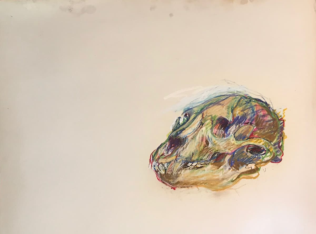 Pastel skull by Kenneth Showell 