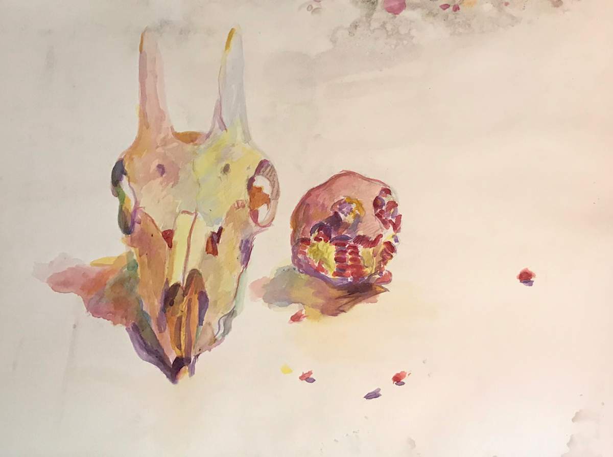 Goat skull and pomegranate by Kenneth Showell 