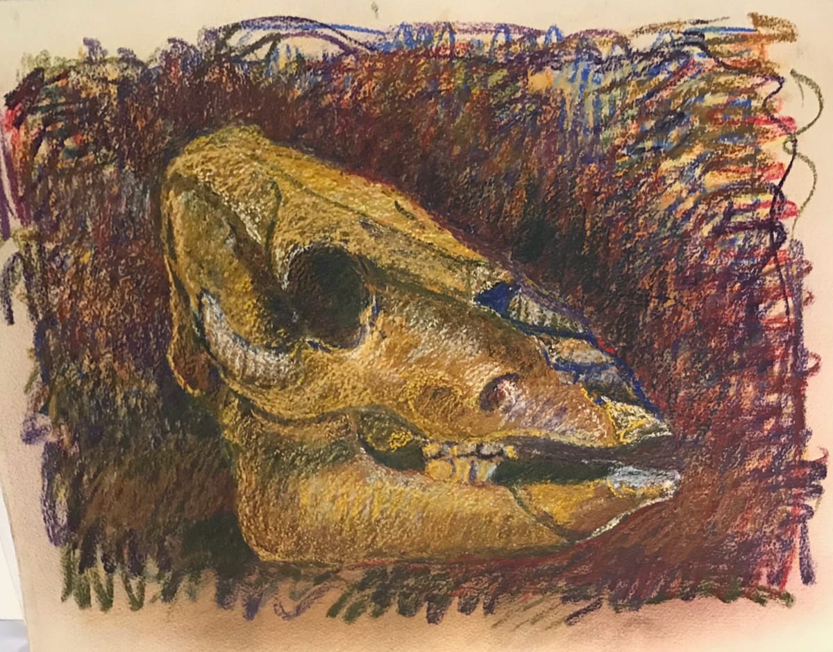 Pastel skull by Kenneth Showell 