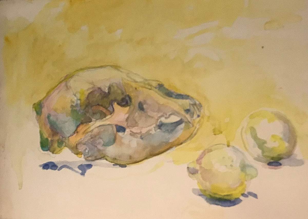 Watercolor skull by Kenneth Showell 
