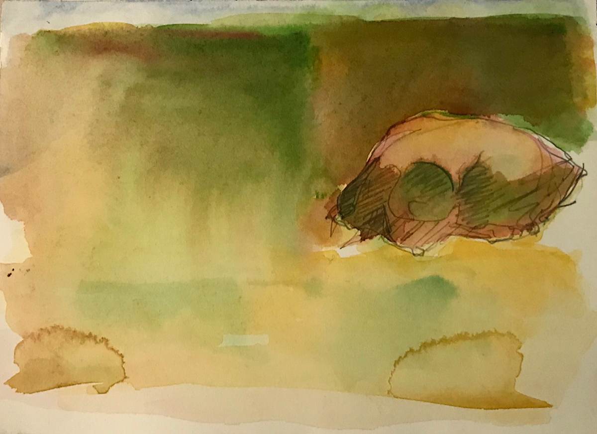 Watercolor Skull by Kenneth Showell 