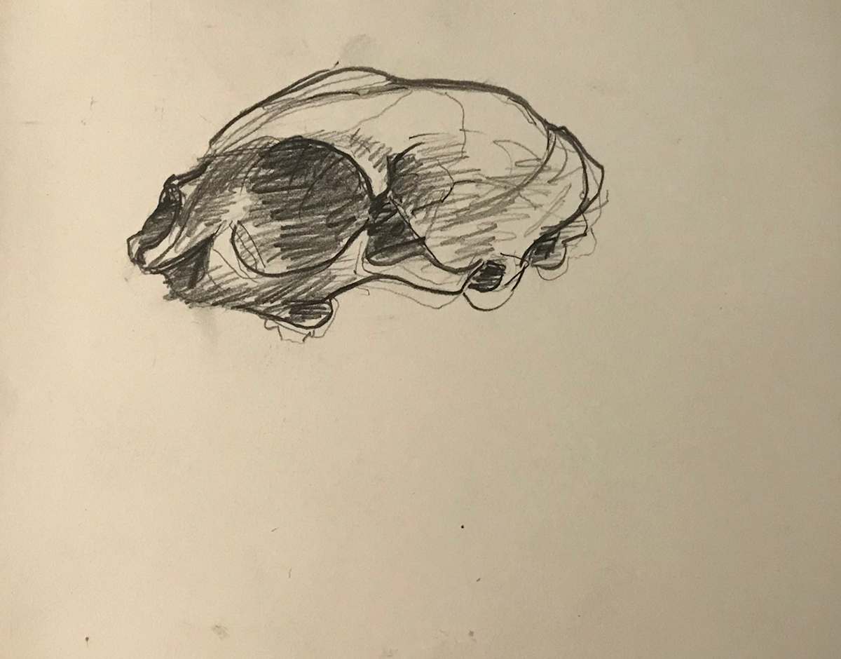 Pencil Skull by Kenneth Showell 