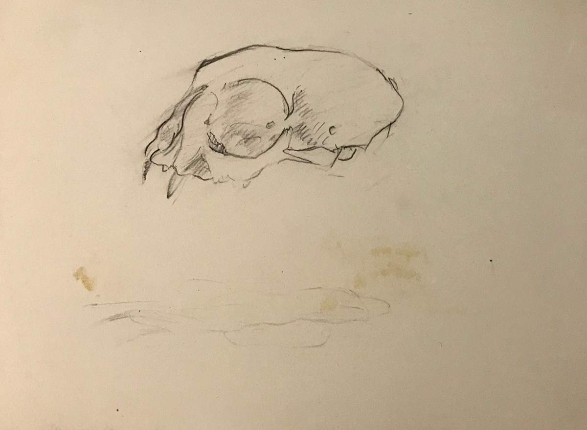 Pencil Skull by Kenneth Showell 