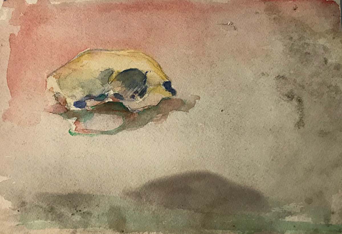 Watercolor Skull by Kenneth Showell 