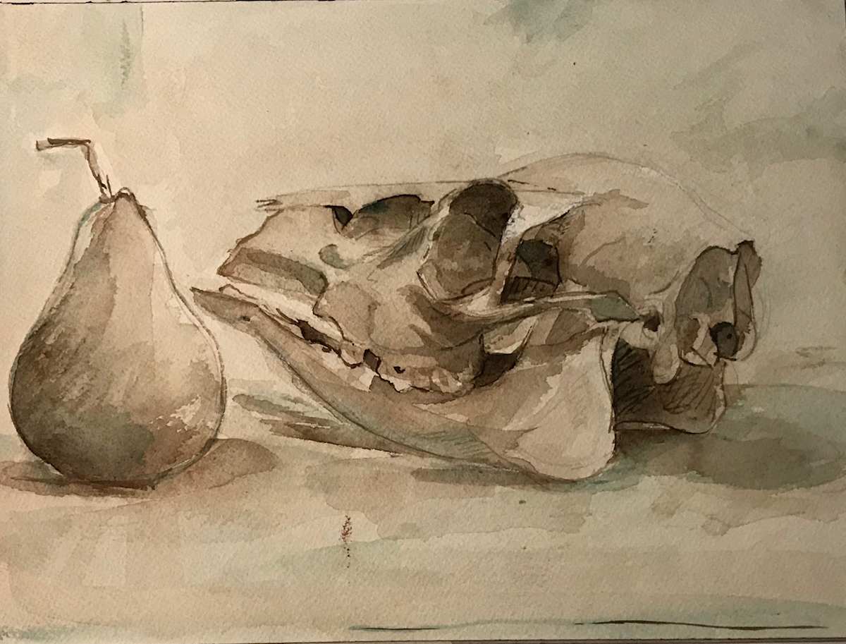 Skull and Pear 1 by Kenneth Showell 