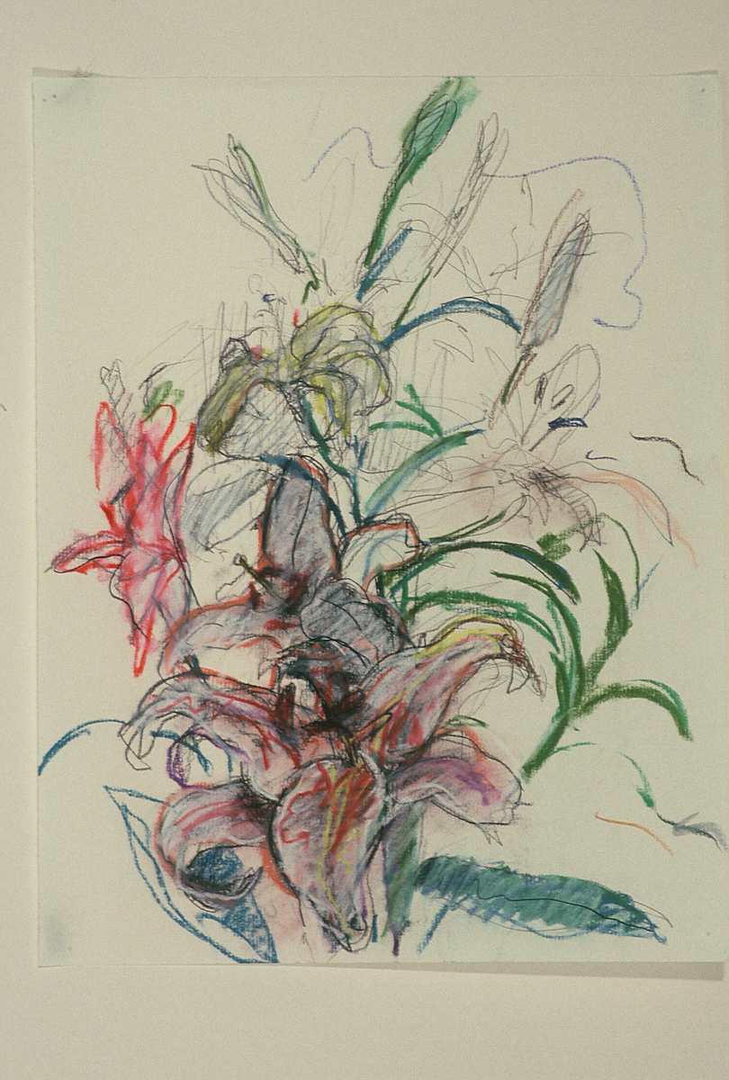 LILIES I by Kenneth Showell 