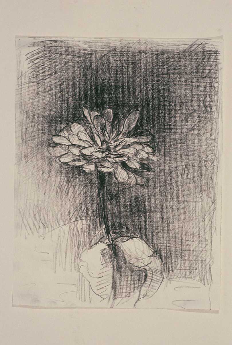 ZINNIA XVI by Kenneth Showell 