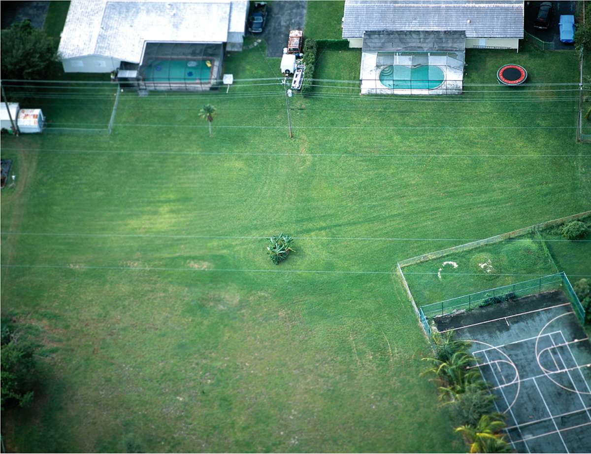 Yard/Tree (Hereafter Series) by Ivan Toth Depeña 